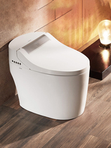 Wrigley bathroom automatic intelligent toilet Household one-piece quick-heating electric toilet flushing dryer AKB1308