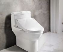 MOEN Moen intelligent combined machine for the toilet SW4091C1