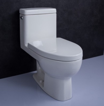 Kohler bathroom one-piece toilet K-3856T-S2-0 scribing price 6917