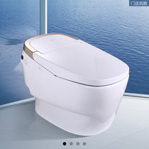 Nine Mu Slim Design Living Water Is Hot Tsunami Flushing Smart Toilet ZID8011J-S2-CJM Home