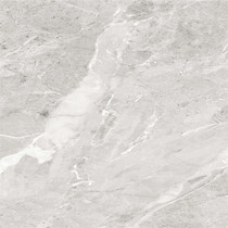 Nobel all-ceramic glaze marble tile English gray RT619130