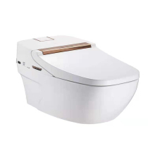 Jiumu high-end intelligent toilet ZID6090J-S1-CJM305