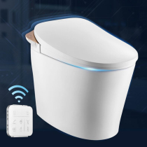 moen moen intelligent all-in-one machine with toilet toilet Walden series SW1294C D