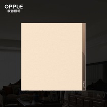 Aup Lighting Wall Switch T07 Series 5401-J7- Blank Panel