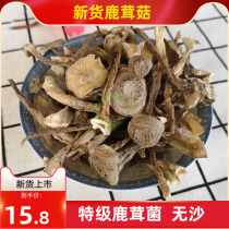 New goods antler mushroom dry goods 250g soup ingredients Yunnan specialty mushroom wild fungus deer mushroom antler mushroom