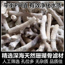 Selected coral bone filter material Koi dragon fish tank water filter cichlid arhats balance high quality coral stone