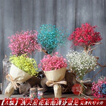 Gypsophila Eternal Dried Flower Bouquet Natural Fresh Home Furnishings Living Room diy Graduation Lover Bouquet