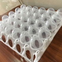 Real egg mold real egg model steamed real egg stone egg mold glutinous rice eggshell high temperature resistant eggshell food grade leak proof solid