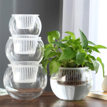 Transparent glass vase Transparent glass vase creative water bottle plant raising equipment utensils fish flower co-raising tank water