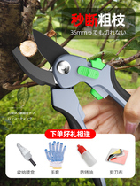 Y Japan imported household garden scissors Gardening branch scissors Green plant hard branch pruning scissors Floral fruit tree tools