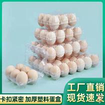 Egg tray plastic thickened egg box duck egg box geese egg tray 30 plastic egg tray one-time transparent