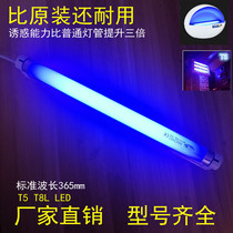 Fly extinguishing lamp tube mosquito repellent lamp tube Violet sticky type T5T8 mosquito killer lamp tube blue light LED fly extinguishing lamp tube