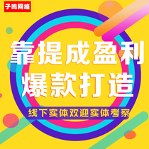 Taobao on behalf of the operation of the online store on behalf of the operation of the fight shop A lot of online store hosting Taobao Tmall hosting services