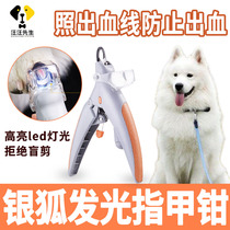 Silver Fox big dog nail pliers anti-bleeding large dog luminous nail scissors blood line Pet Supplies