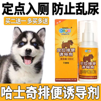 Husky dogs go to the toilet fixed-point defecation inducer prevents pet dogs from urinating and urinating.
