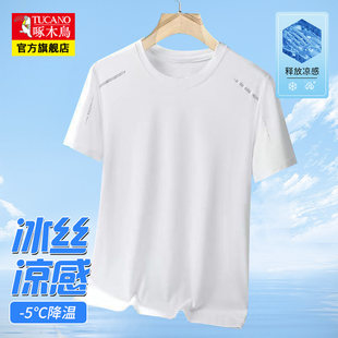 Woodpecker Ice Silk Short Sleeve T-shirt Men's Summer Thin Breathable Mesh Sports Quick Dry Top Clothes Dad's Summer Clothes
