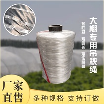 Greenhouse vegetable hanging rope hanging vine rope cucumber tomato pepper sling anti-aging high temperature vegetable plastic rope