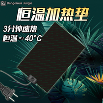 Reptile with temperature control constant temperature heating pad Horned frog palace lizard turtle box heating film Spider hermit crab insulation pad