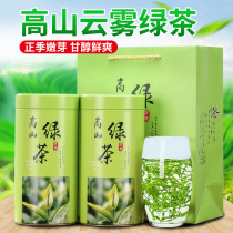 2021 New Tea Mingchen Superior Maojian Green Tea Strong Fragrant High Mountain Clouds Bulk Green Tea Sprout Autumn Tea Canned 500g