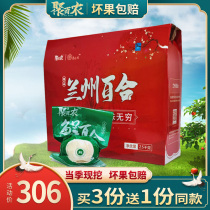 Gansu Lanzhou Fresh sweet lilies celibate with 5 catties to eat authentic special class white consecrated gift box clothing Non-dry goods