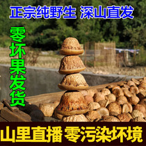 New wild wind fruit Balanus enlarged Tianzhu grain 500g male long-lasting thick scale Ke stew soak wine kidney good