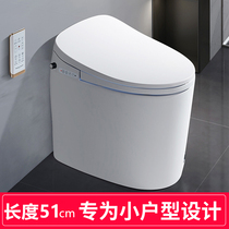 Germany Domeilun small size smart toilet integrated household ultra-short small small apartment type space-saving 51cm