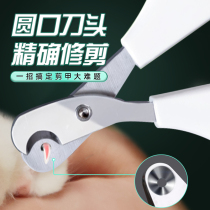 Cat nail clippers special nail clippers artifact pet cat claw scissors rabbit nail clippers novice anti-bleeding kitten supplies