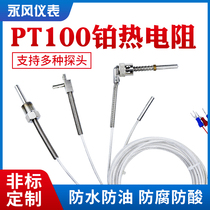 Germany imported class A Pt100 thermal resistance Platinum thermal resistance temperature sensor waterproof and oil-proof PTFE silver-plated wire