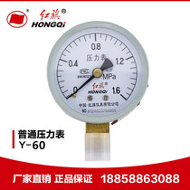 Factory Direct Red Flag instrument pressure gauge Y-60 2 5 floor heating fire tire pressure air pressure water pressure gauge