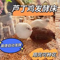 Luding Chicken Fermented Mattress Stock Deodorising Antibacterial Sawdust Sawdust Kol Duck Rabbit Pet Faecal Decomposition Bed