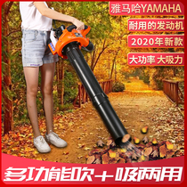 Portable gasoline hair dryer high-power blowing leaves blowing weeds dead leaves gasoline vacuum cleaner leaves crushed