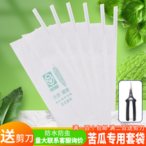 Loofah cucumber Cucumber Bitter melon bagging special bag Insect bag Protective cover Paper bag Waterproof fruits and vegetables Fruits