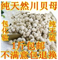 Chuanbei Chuanbei mother Chuanbei Chinese herbal medicine Pearl shellfish Sichuan direct grinding Chuanbei powder 500 grams