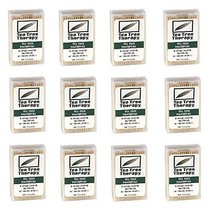  Tea Tree Therapy Tea Tree Toothpicks 100 Picks (Pa