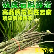 Huoshan Dendrobium officinale fresh strips three-year-old Dendrobium 500g fresh tin Maple bucket