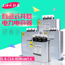 BSMJ0 4-14 15 16 20 25 30 40-3 three-phase self-healing compensation shunt power capacitors