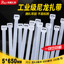 Add wing nylon cable tie hardware 5*650 plastic fixed tie GB White Black Foot number 250 large