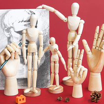 Painting with wood doll joint human model sketch painting with small man wooden hand 12 inch flexible movable wooden human imitation human proportion small wooden man cartoon sketch puppet art supplies ornaments