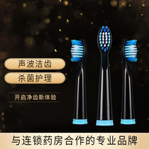 Xitetcheng EHS520 electric toothbrush replacement head (3 sets)