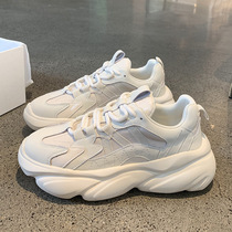 Gulvdinel heavy recommended foot small tide ins2021 new womens net red thick bottom sports Daddy xie