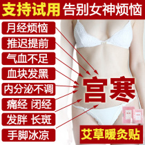 Warm nest package Ai stickers Warm baby warm palace aunt stickers warm palace conditioning palace cold and hot compress stickers menstrual women warm palace stickers