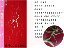 Zhong Weidong proved that wild ginseng in the original forest of Changbai Mountain is good for wild ginseng products