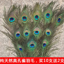 Natural real peacock feathers Feather Tail Large Eyes Living-room Pendulum Vases Flower Arrangement Adornment Diy Accessories Peacock Hair