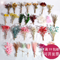 Natural dried flowers Immortalized floral incense material Kindergarten activities diy hand account handmade material decoration mini bouquet