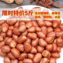 Crispy fried peanuts cooked fried red skin peanuts 5 pounds salty bulk business meals drink wine and vegetables snacks