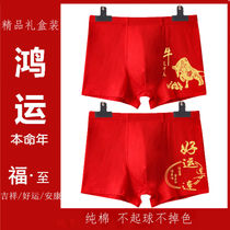 Pure cotton red briefs belong to tiger year Ben life underpants 2022 Youth mid-waist flat angle pants wedding festive red Four-corner pants
