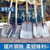 304 stainless steel shovel Net Red serving foreign shovel stainless steel shovel food grade large flat shovel gardening tool