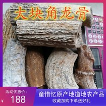 Primitive Wuhua Longgu Mountain West Africa forged keel tongue-sucking keel fossil Anshen Chinese herbal medicine oyster 500g