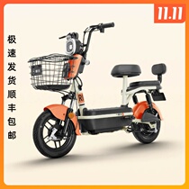 Emma electric bike new national standard car Big Battery NFC adult walking men and women universal electric bicycle