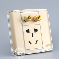 Champagne 86 small five-hole power supply with audio socket panel champagne gold 5 holes 5 1 double head speaker socket